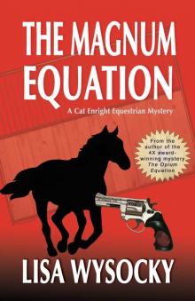 The Magnum Equation Read online