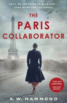 The Paris Collaborator Read online