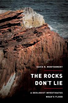 The Rocks Don't Lie: A Geologist Investigates Noah's Flood Read online