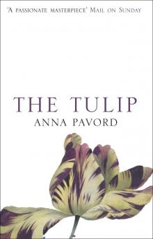 The Tulip Read online