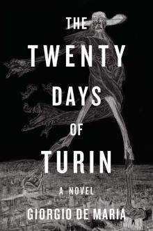 The Twenty Days of Turin Read online