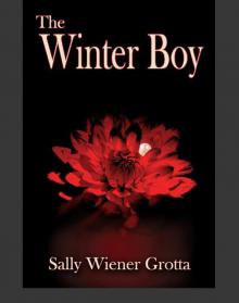 The Winter Boy Read online