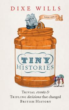 Tiny Histories Read online