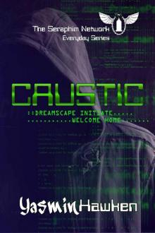 Caustic (The Seraphim Network - Everyday Series Book 1) Read online