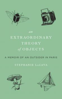 Extraordinary Theory of Objects Read online