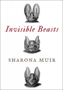 Invisible Beasts Read online