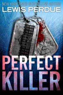 Perfect Killer Read online