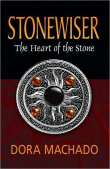 Stonewiser Read online