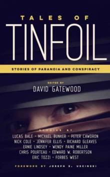 Tales of Tinfoil: Stories of Paranoia and Conspiracy Read online