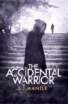 The Accidental Warrior Read online