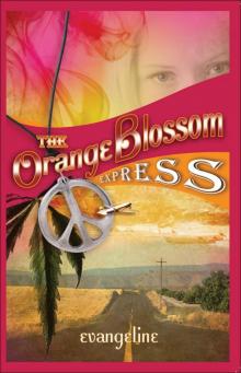 The Orange Blossom Express Read online