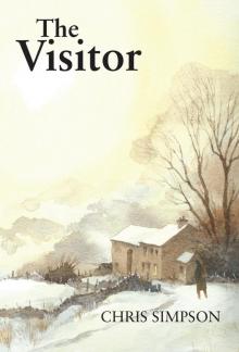 The Visitor Read online
