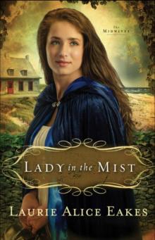 Lady in the Mist Read online