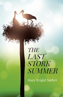 Last Stork Summer Read online