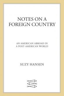 Notes on a Foreign Country Read online