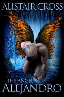 The Angel Alejandro Read online