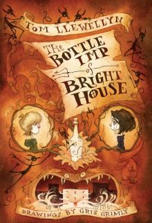 The Bottle Imp of Bright House Read online
