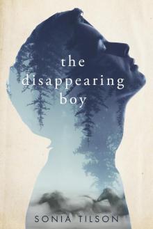 The Disappearing Boy Read online