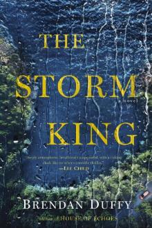 The Storm King: A Novel Read online
