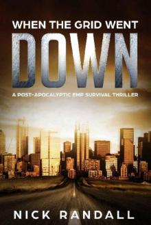 The Surviving The EMP Trilogy (Book 1): When The Grid Went Down Read online