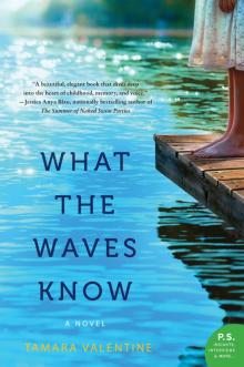 What the Waves Know Read online