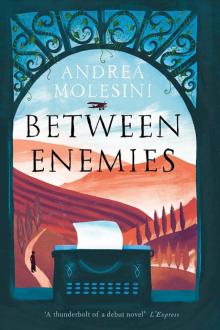 Between Enemies Read online