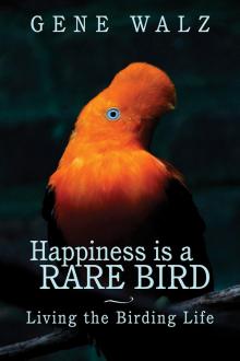 Happiness is a Rare Bird Read online