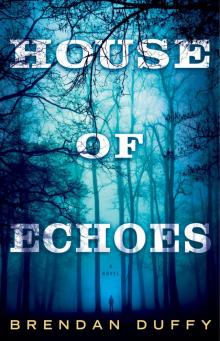 House of Echoes: A Novel Read online