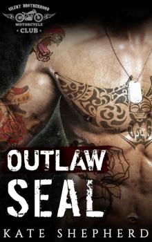 Outlaw Seal Read online