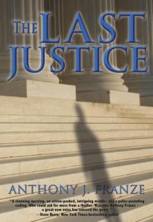 The Last Justice Read online