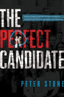 The Perfect Candidate Read online