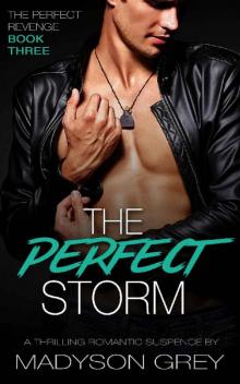 The Perfect Storm_A Thrilling Romantic Suspense Read online