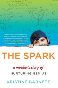 The Spark Read online