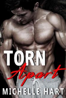 Torn Apart: A Standalone Romance Read online