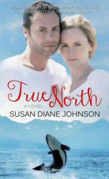 True North Read online