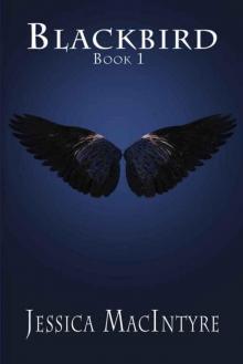 Blackbird Read online