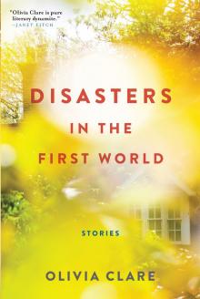 Disasters in the First World Read online