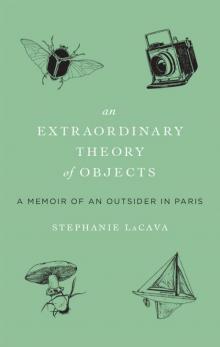 Extraordinary Theory of Objects: A Memoir of an Outsider in Paris Read online