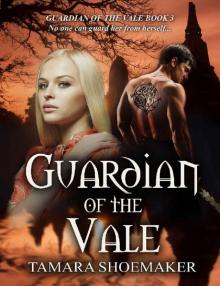 Guardian of the Vale Read online
