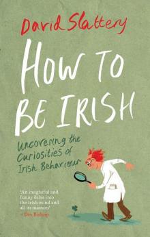 How to Be Irish Read online