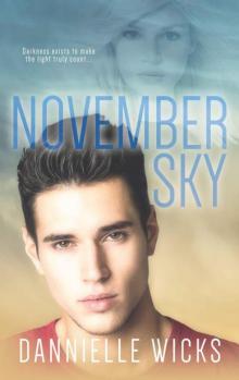 November Sky (Hardest Mistakes Book 2) Read online