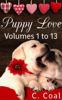 Puppy Love, Volumes 1 to 13 Read online