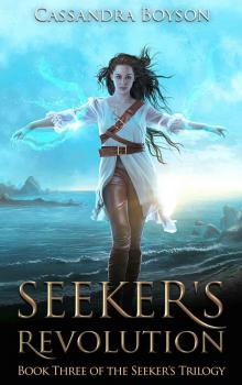 Seeker's Revolution Read online