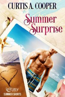 Summer Surprise Read online