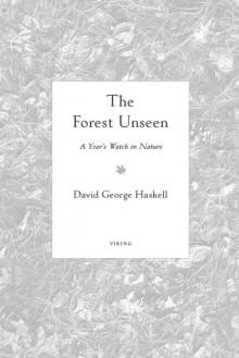 The Forest Unseen: A Year's Watch in Nature Read online