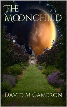 The Moonchild (The Moondial Book 1) Read online
