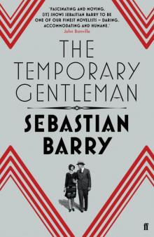 The Temporary Gentleman Read online