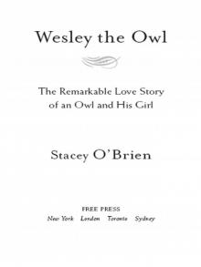 Wesley the Owl Read online