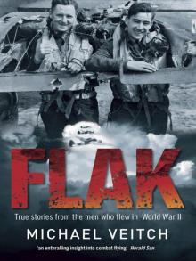 Flak Read online