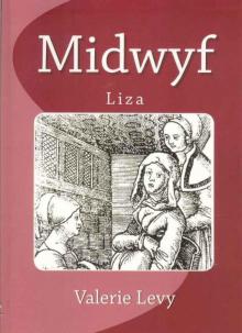 Midwyf Liza Read online